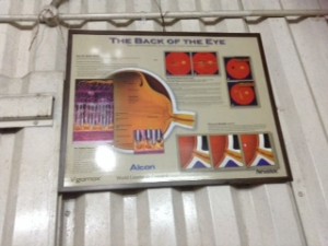 IMG_0099 (2)